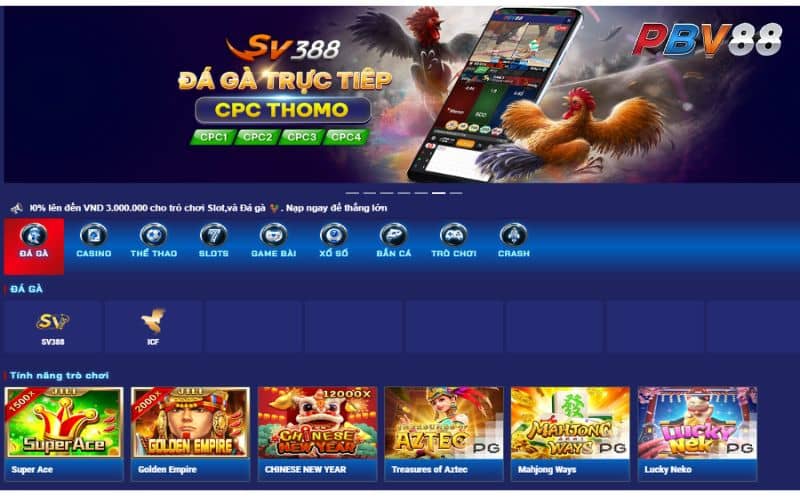 PBV88 là nhà cái đá gà Thomo uy tín hiện nay PBV88 là nhà cái đá gà Thomo uy tín hiện nay
